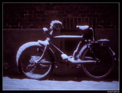 u47/live2fish/medium/27679755.bicycle.jpg