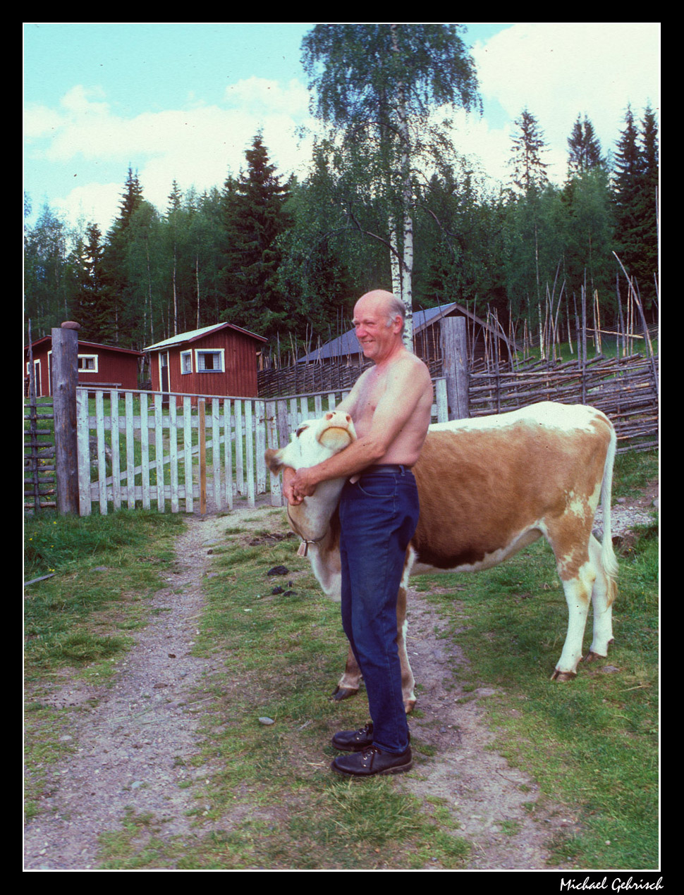 and on his farm he had a cow...