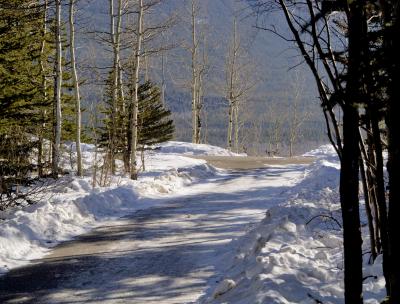 Village Trail