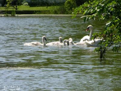 Center Lake 009a.jpg