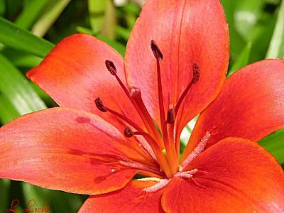 A little color  029.jpg