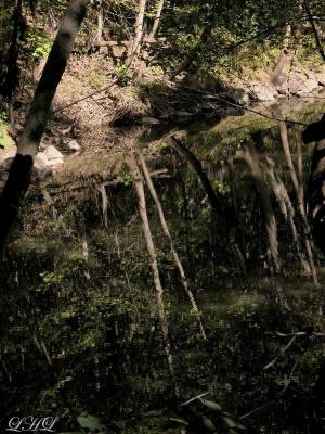 Reflections 9-18 0102.jpg