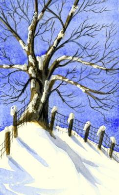 snow-tree 3-05.jpg
