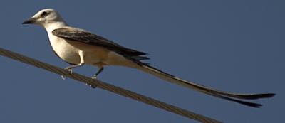 CRW_0755.jpg