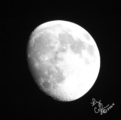 CRW_0811.jpg
