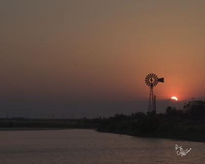 CRW_685ps.jpg