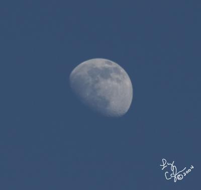 CRW_0683.jpg