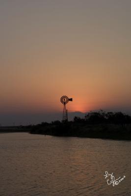 CRW_0686.jpg