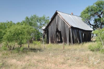 CRW_0689.jpg