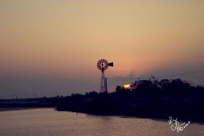 CRW_0694.jpg