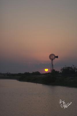CRW_0698.jpg