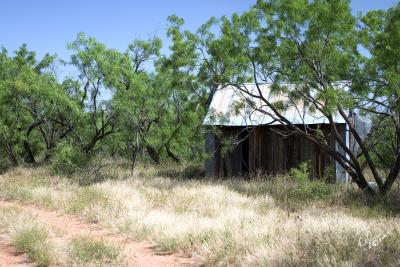 CRW_0719.jpg