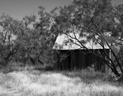 CRW_0719BW.jpg