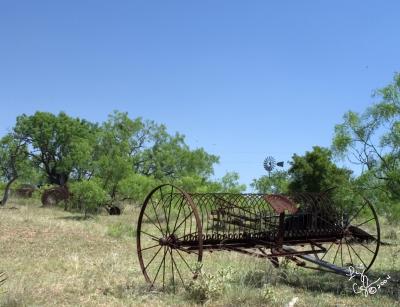 CRW_0750.jpg