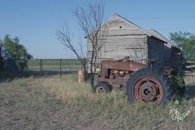 CRW_0777.jpg