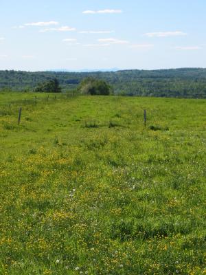 Philadelphia and Maine