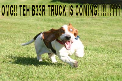 dogbeertruck.jpg