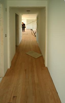 Down the Hall