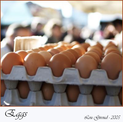 u47/lou_giroud/medium/40046531.Eggs.jpg