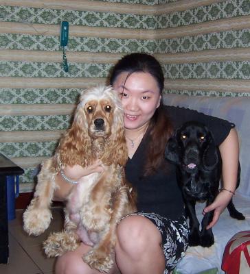 dogs of Beijing Ĺ