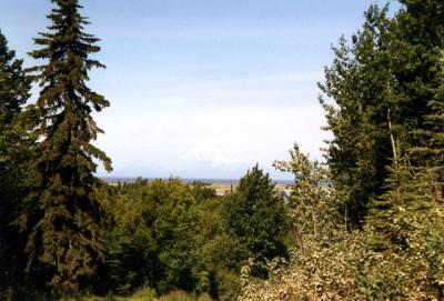 MT.Redoubt from work