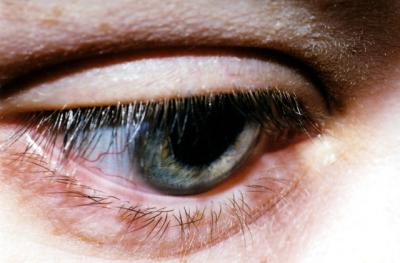 abbys eye macro