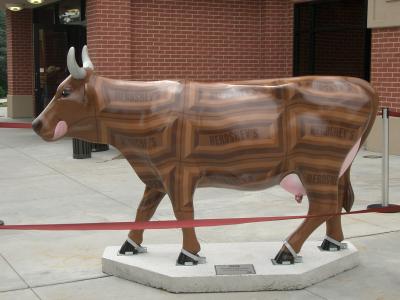 hershey cow.jpg
