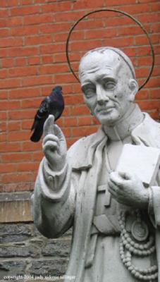 9.18 pigeon