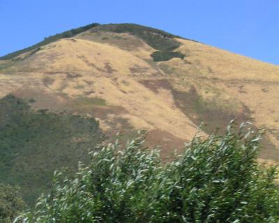 Central Coast Hills