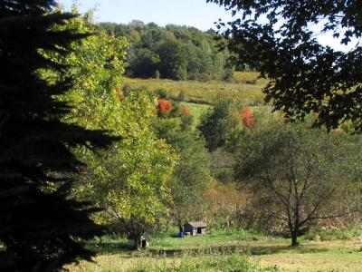 Autumn approaches