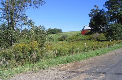 Climbing Dubert Hill Road