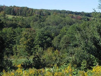 Looking across the valley