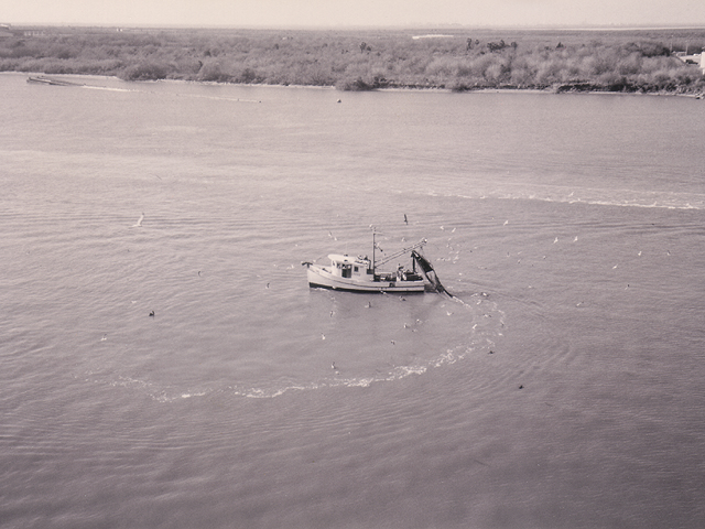 galveston_02.jpg