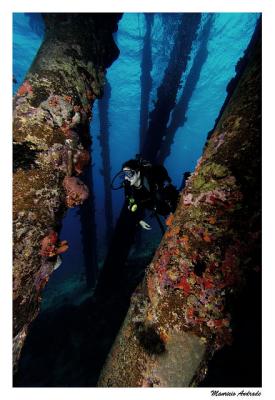 Salt Pier