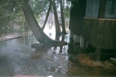 flood2-0496.jpg