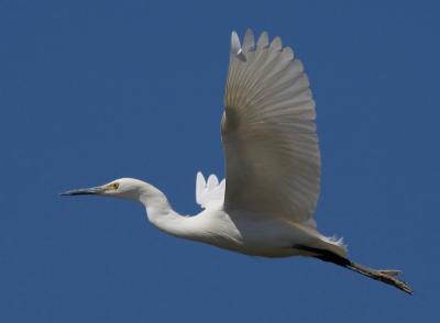 3573w.jpg