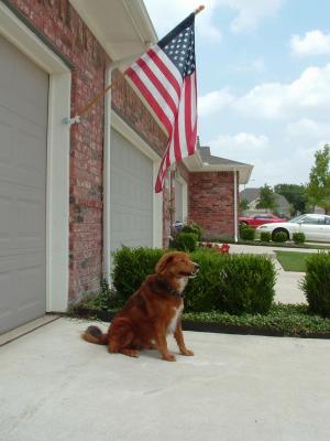 American Flag