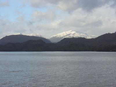 D2MS1P037.jpg