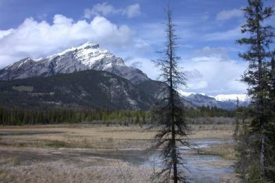 Banff NP (DSCN6744.JPG)