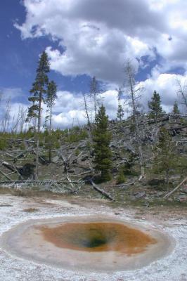 Upper Geyser Basin, Yellowstone (DSCN8049.JPG)