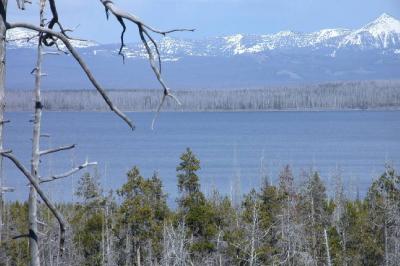 Near West Thumb, Yellowstone Lake, Yellowstone (DSCN8131.JPG)