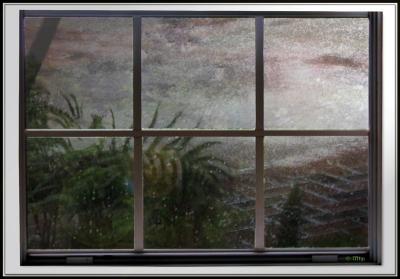 Rain Against My Window