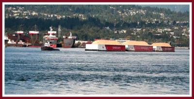 Tug pulling 3 loaded chip barges.