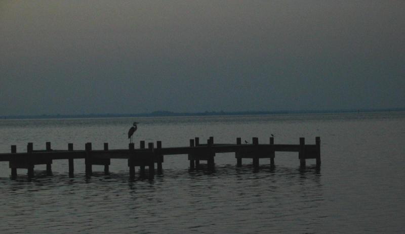 Titusville dock