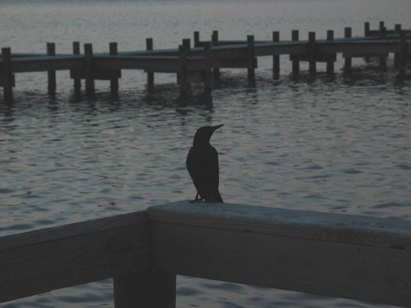 Titusville dock 3
