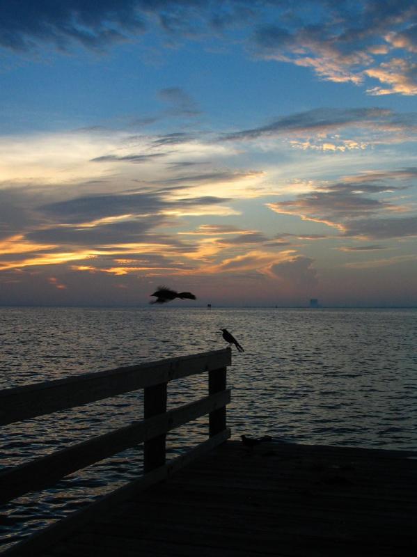Titusville sunrise 4