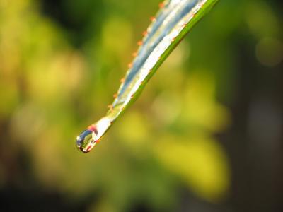 droplet