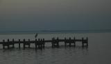 Titusville dock