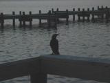 Titusville dock 3