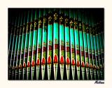 Organ II